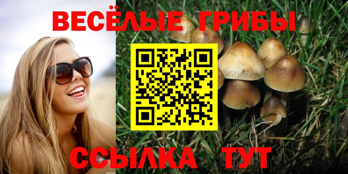 Галлюциногенные грибы Psilocybe  Вход с VPN  как найти   Кингисепп 